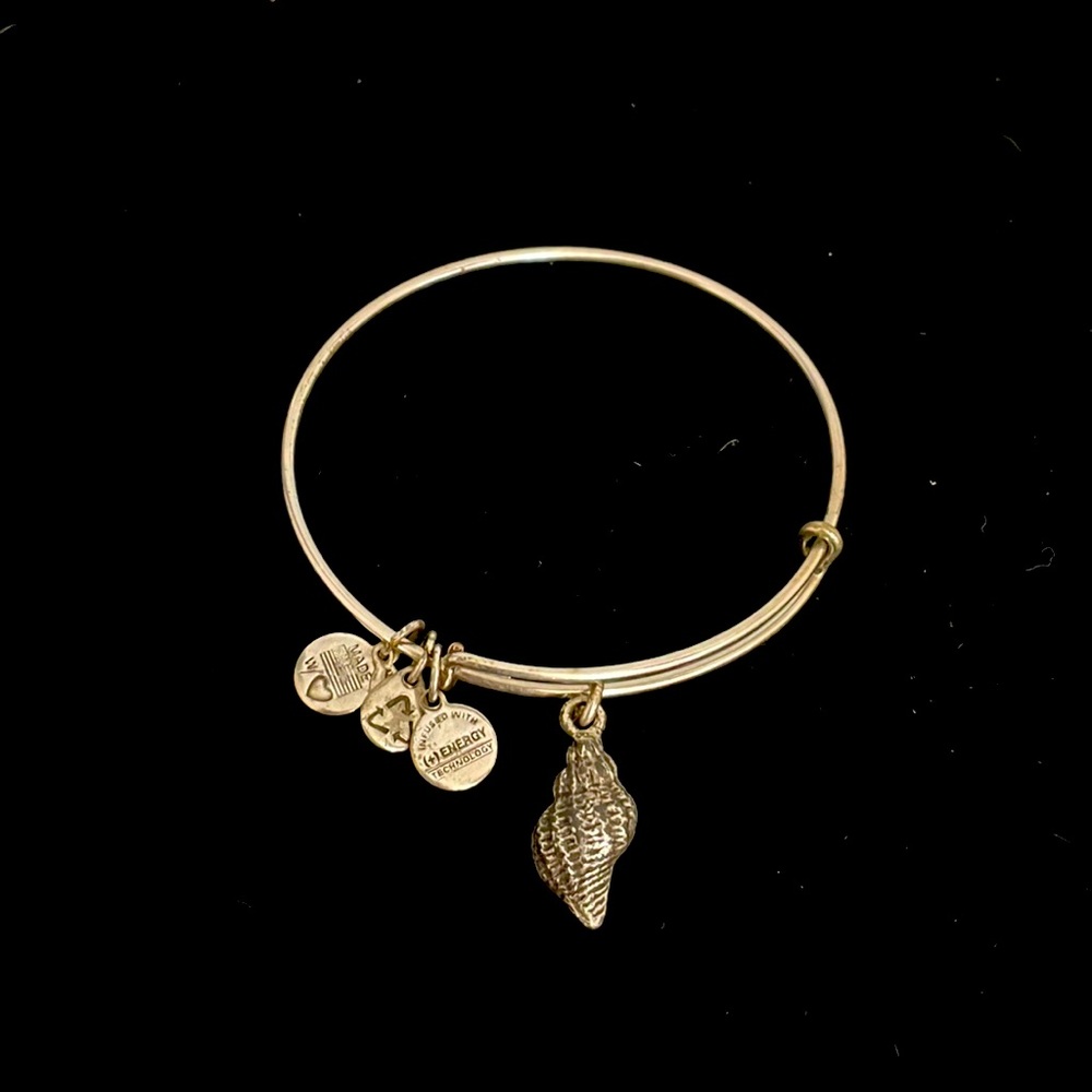 Preloved Alex and Ani conch shell bracelet